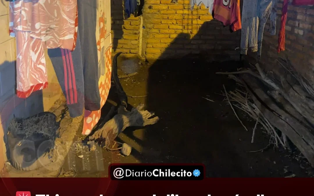 El Juez Jorge Jalil ordenó allanar una vivienda en Anguinán: la Policía secuestró una puerta y arrestaron al acusado del robo