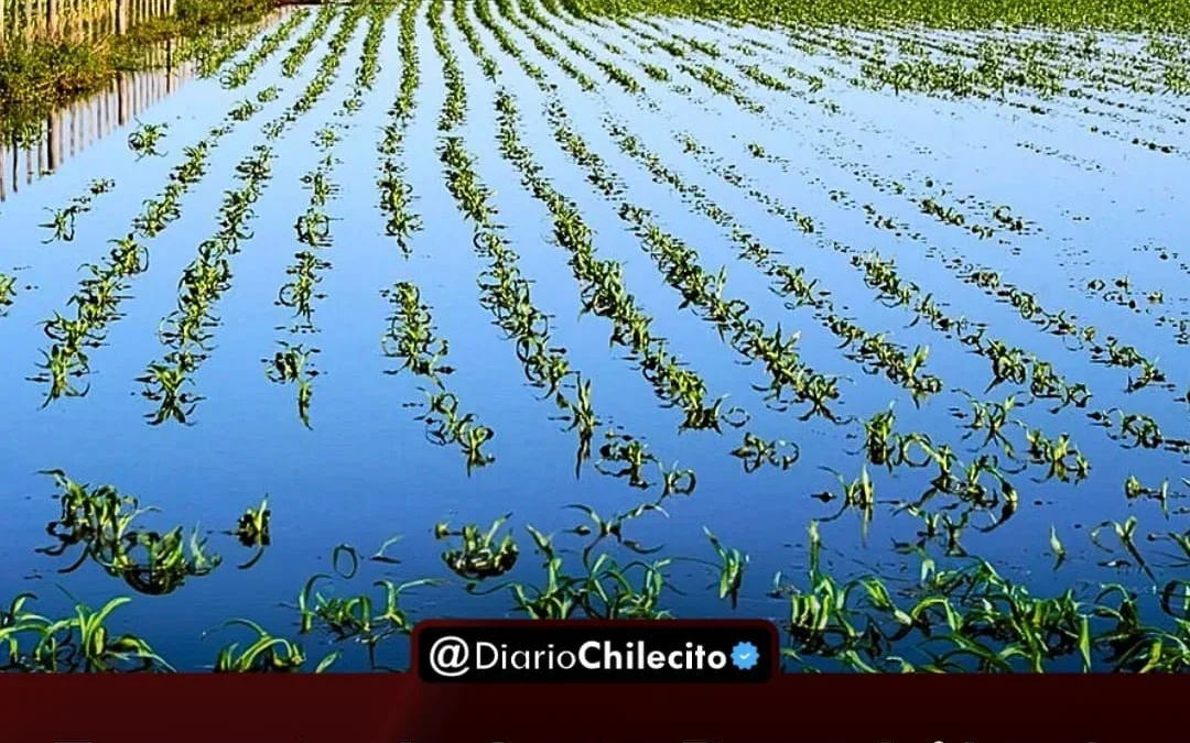 Tormenta de Santa Rosa dejó más de un millón de hectáreas bajo el agua. Productores advirtieron que el freno en las obras complica la producción