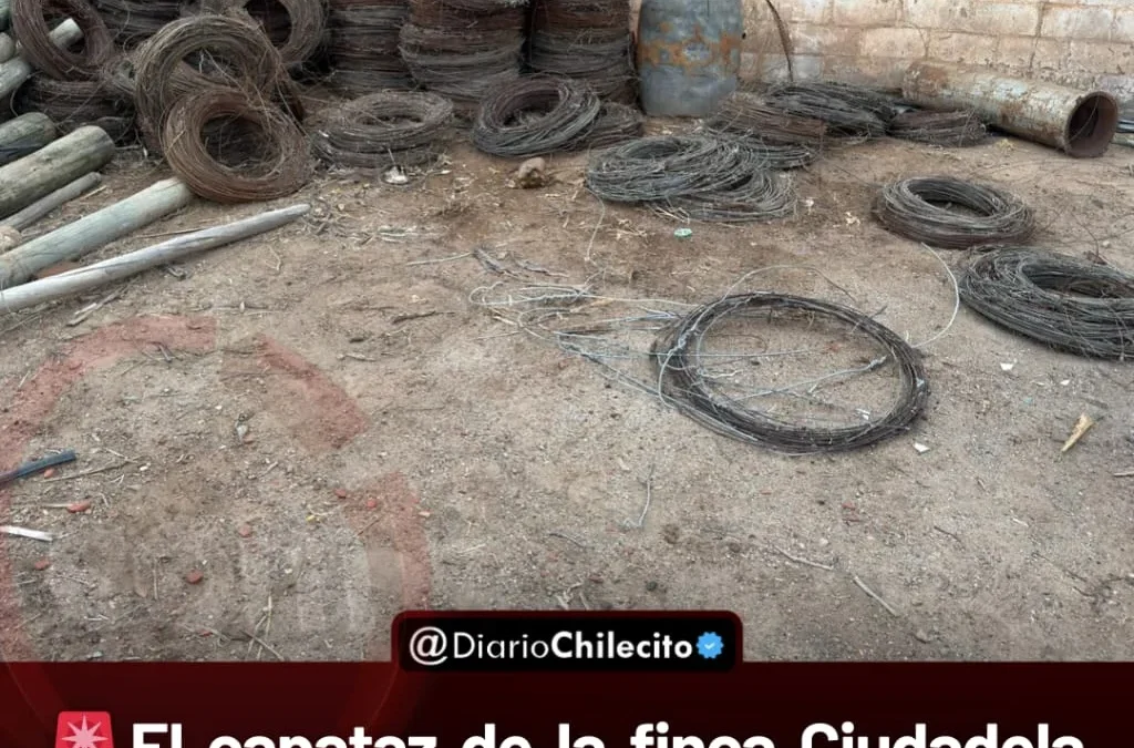 EL capataz de la finca Ciudadela de La Riojana descubrió el robo de alambre al comenzar su jornada en Tilimuqui