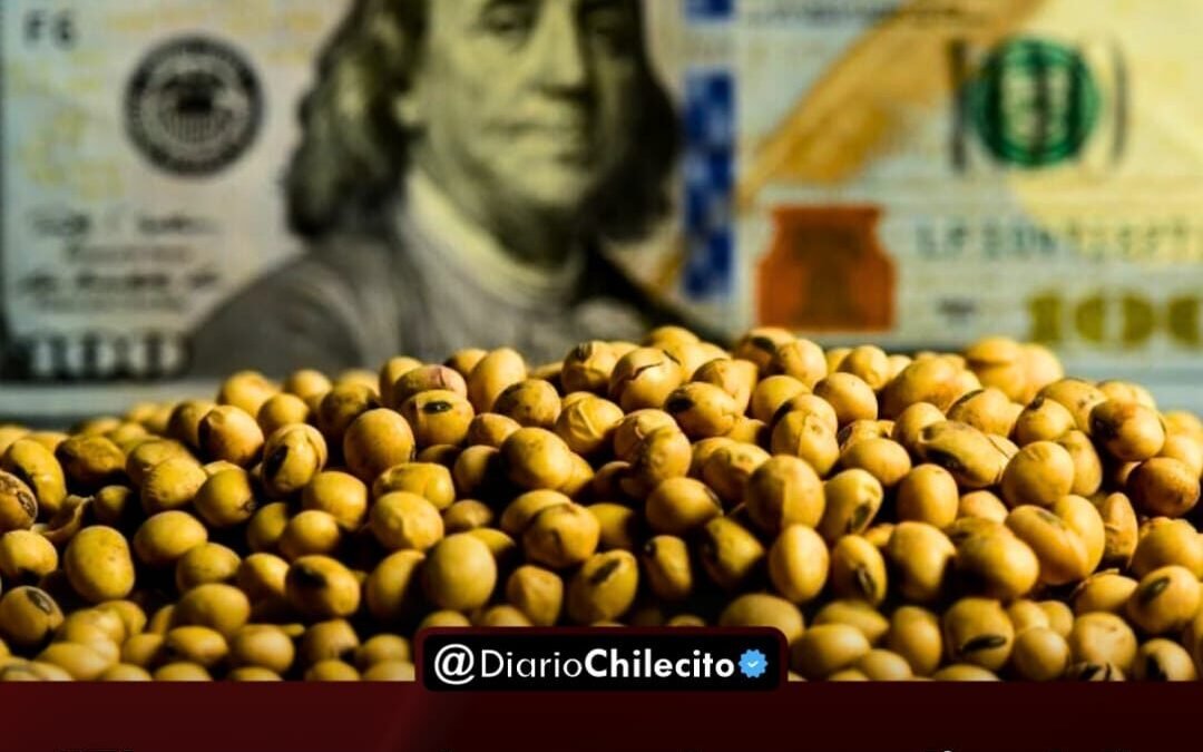 «El mercado está paralizado»: productores evitaron vender granos ante la disparada del dólar y la falta de precios claros