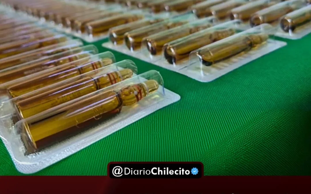 Prefectura halló 173 kilos de cocaína y 177 ampollas de fentanilo en la costa de Corpus, Misiones, en un patrullaje nocturno