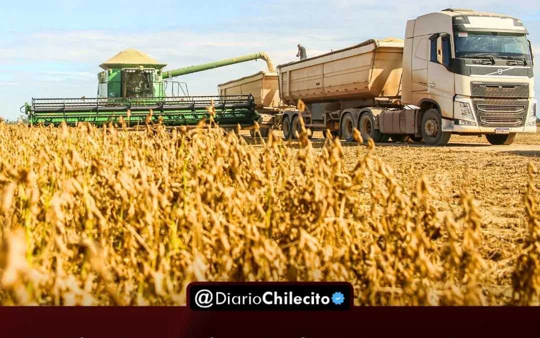Gobierno nacional citó a cerealeras en Hacienda y presiona para que vendan rápido los granos que aún guardan en silos