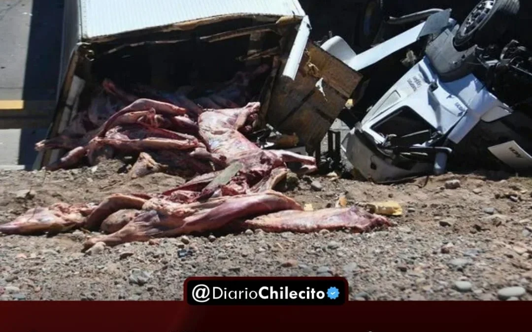 Cerca de100 personas intentaron robar carne de un camión volcado; hubo piedrazos y balas de goma en Guaymallen, Mendoza