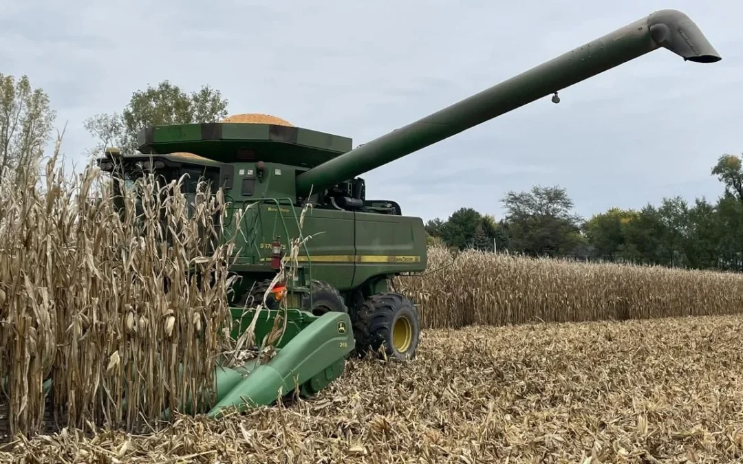 Productor rural tras el regreso de las retenciones al campo: «Esperábamos otra actitud luego de años de insultos»