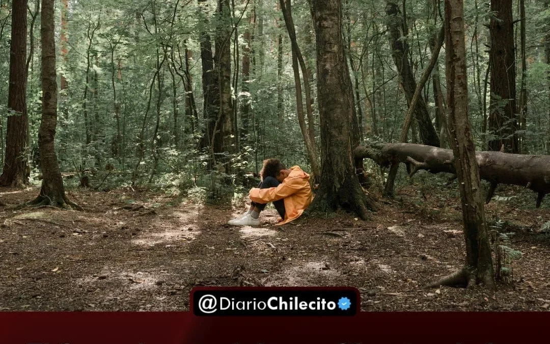 El Senado aprobó con 61 votos la ley que crea el sistema de alerta rápida Sofía, para buscar eficientemente a chicos desaparecidos