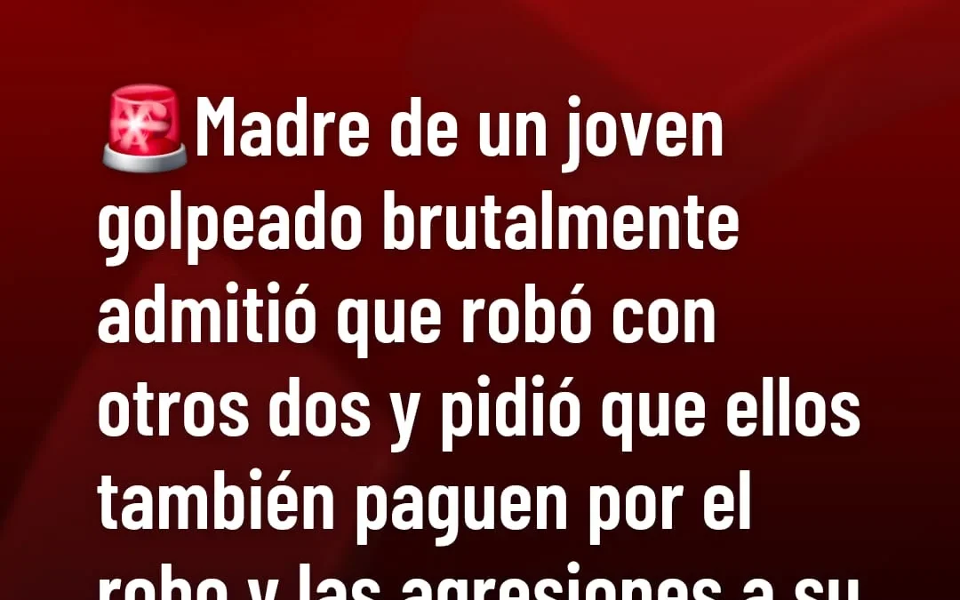 Madre de joven golpeado brutalmente admitió que robó junto a otros dos y pidió que ellos también paguen por el robo y las agresiones a su hijo