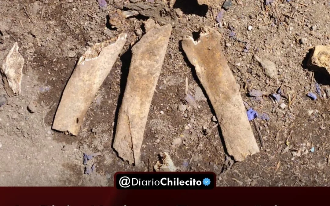 La Rioja: vecina de Facundo Quiroga halló restos óseos enterrados en su patio mientras cavaba un cimiento y la policía investiga