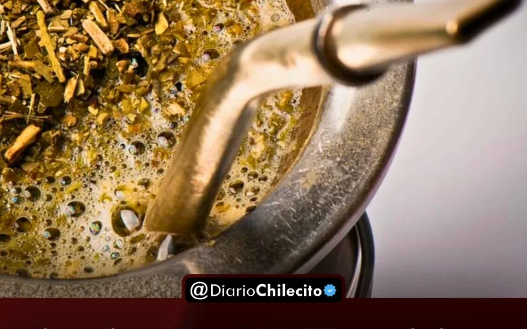 Científicos del CONICET convirtieron residuos de la yerba mate en bioaceite que puede reemplazar al petróleo