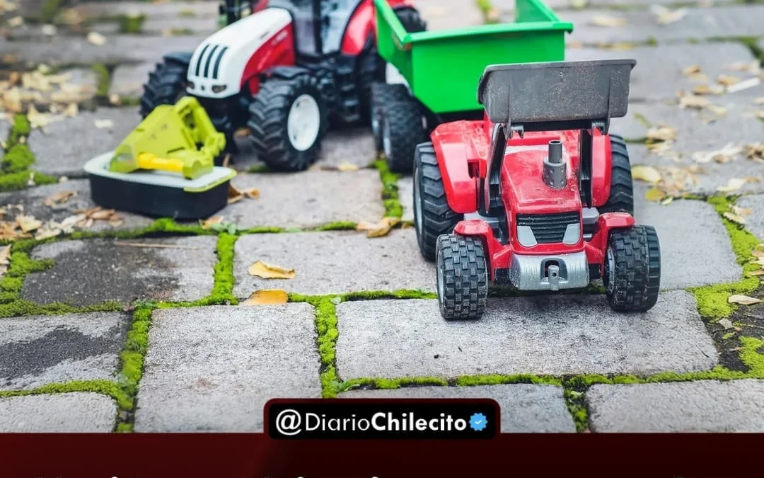 Nación redujo impuestos a los juguetes importados buscando precios más bajos, pero las fábricas locales hablan de riesgo laboral