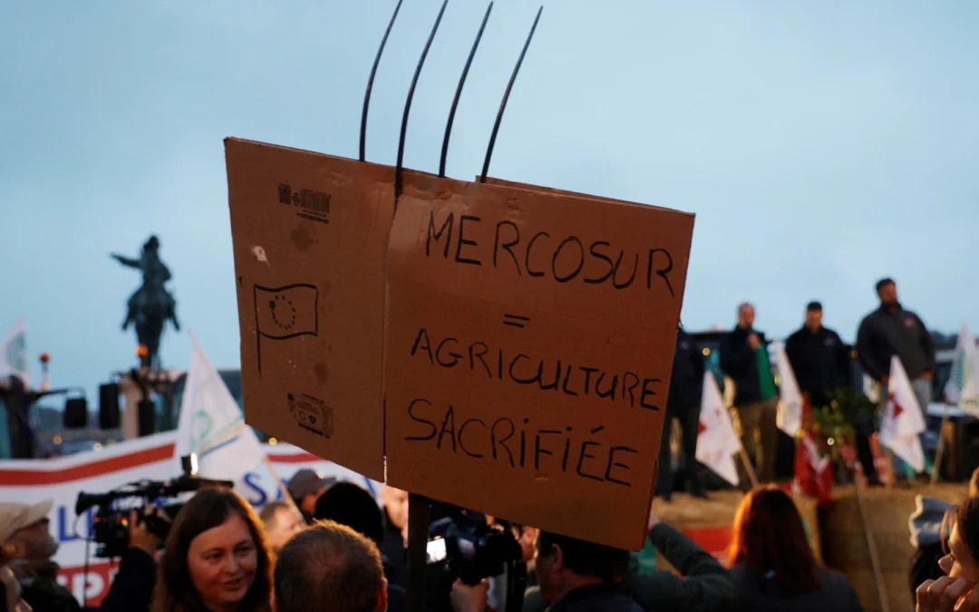 Agricultores marcharon en París contra el acuerdo con Mercosur. Advierten que los precios bajos podrían arrasar su mercado