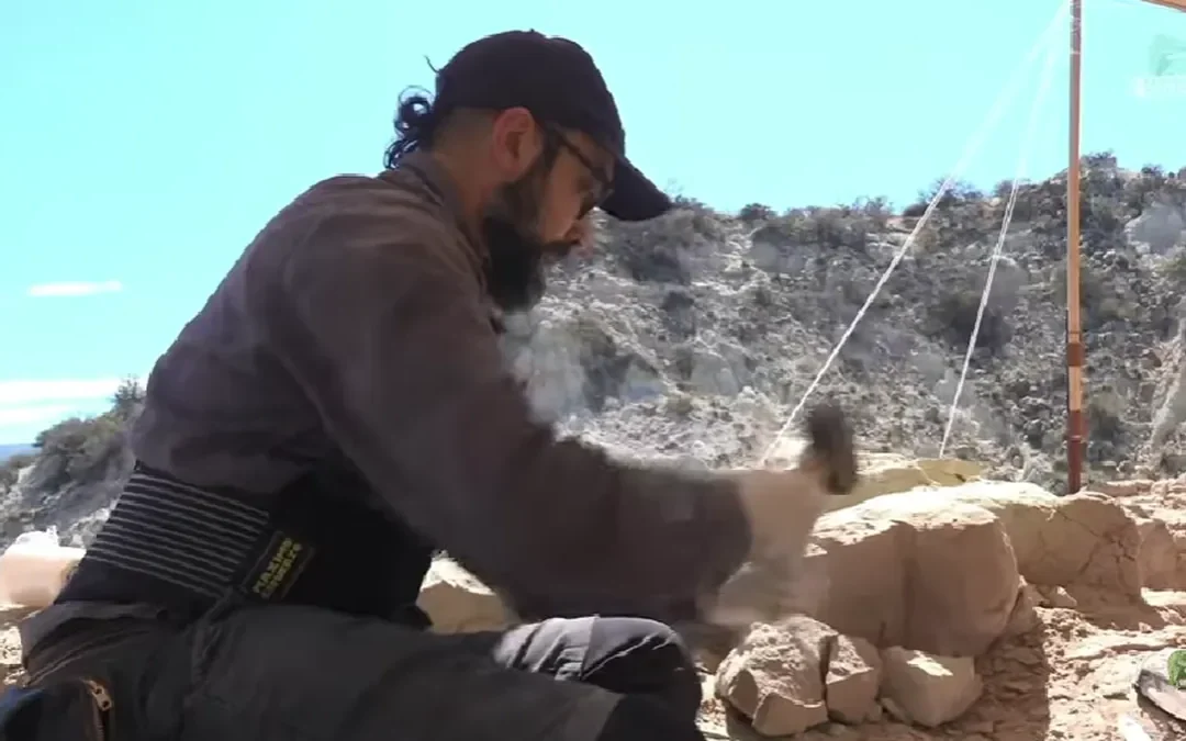 En un nuevo streaming del CONICET paleontólogos de National Geographic Society lograron extraer parte del pie de un dinosaurio en Río Negro