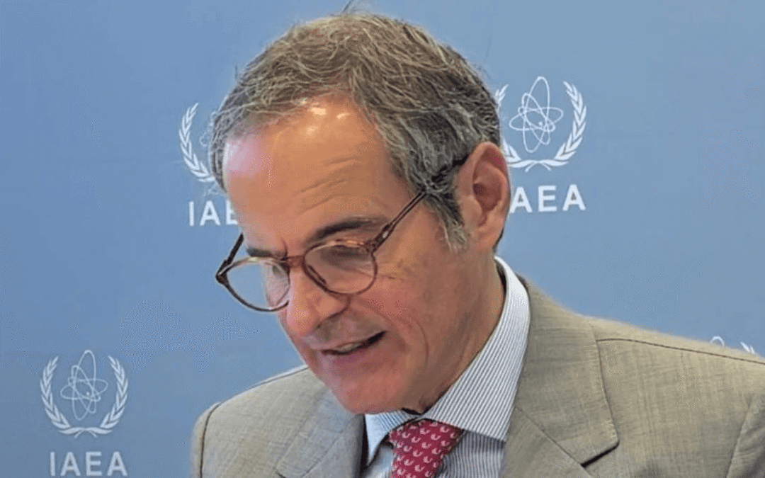 Argentina juega en primera en el área nuclear”, dijo el titular del OIEA en medio del plan de Milei para privatizar centrales
