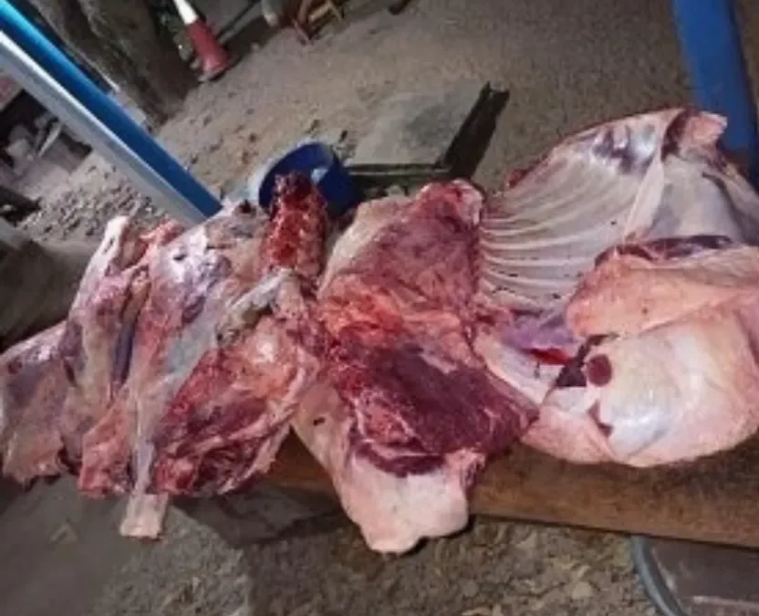 Tras allanamiento en Barrio Santo Domingo, detuvieron a un ciudadano por el delito de abigeato