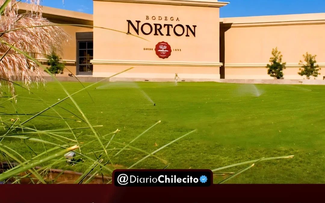 Exportaciones frenadas y cada de ventas local: Bodega Norton se declaró en crisis y peligran 400 empleos