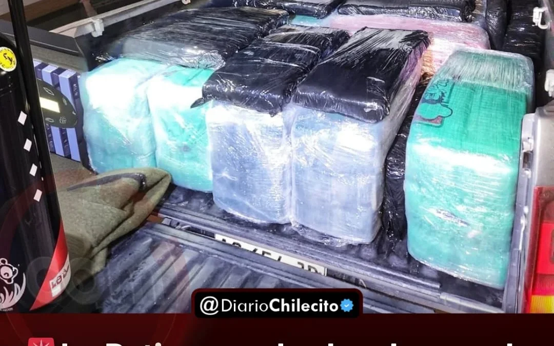 Detienen a dos hombres en la Ruta 38 y secuestran 355 kilos de hojas de coca transportadas en una Amarok llegada desde Jujuy
