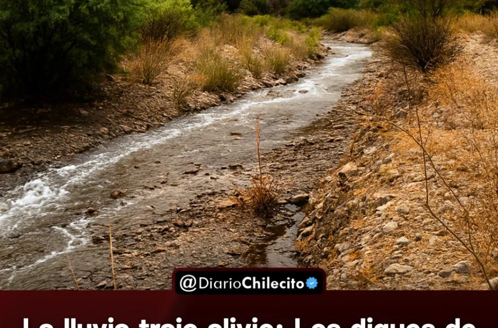 La lluvia trajo alivio: Los diques de la provincia muestran una buena recuperación sostenida tras las últimas precipitaciones.