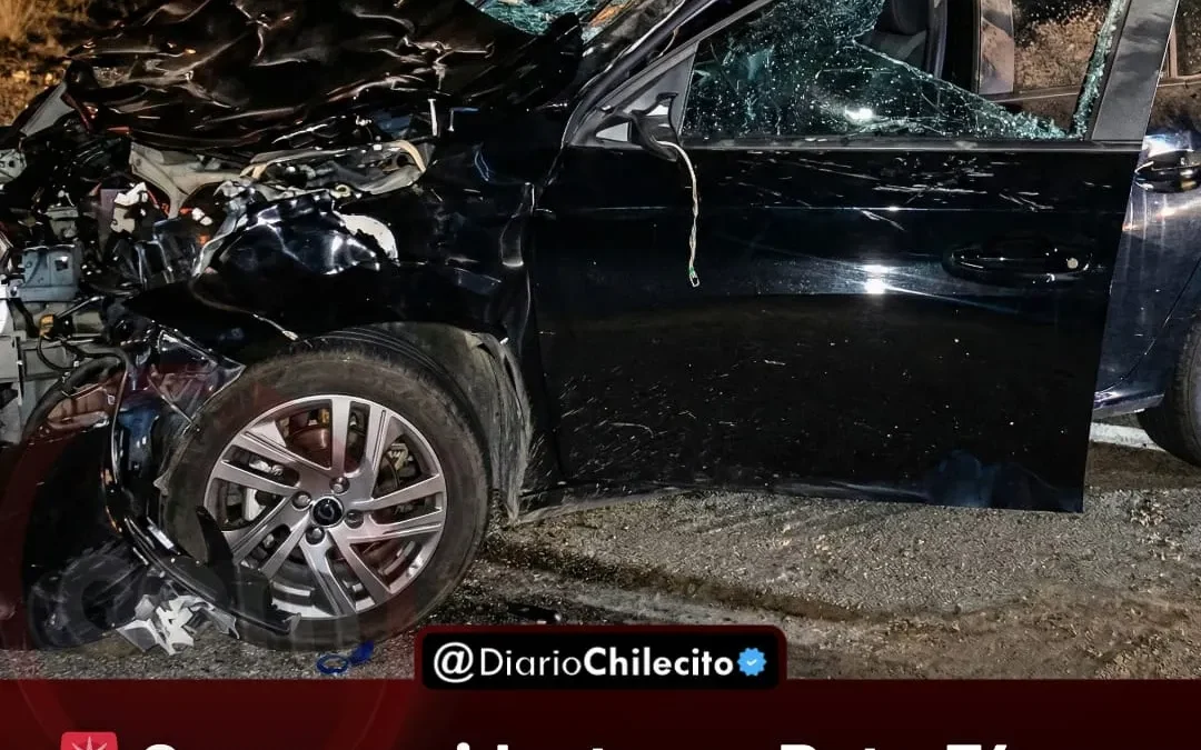 Grave accidente en Ruta 74: un auto chocó contra un caballo y la pareja de Chilecito fue trasladada de urgencia al hospital