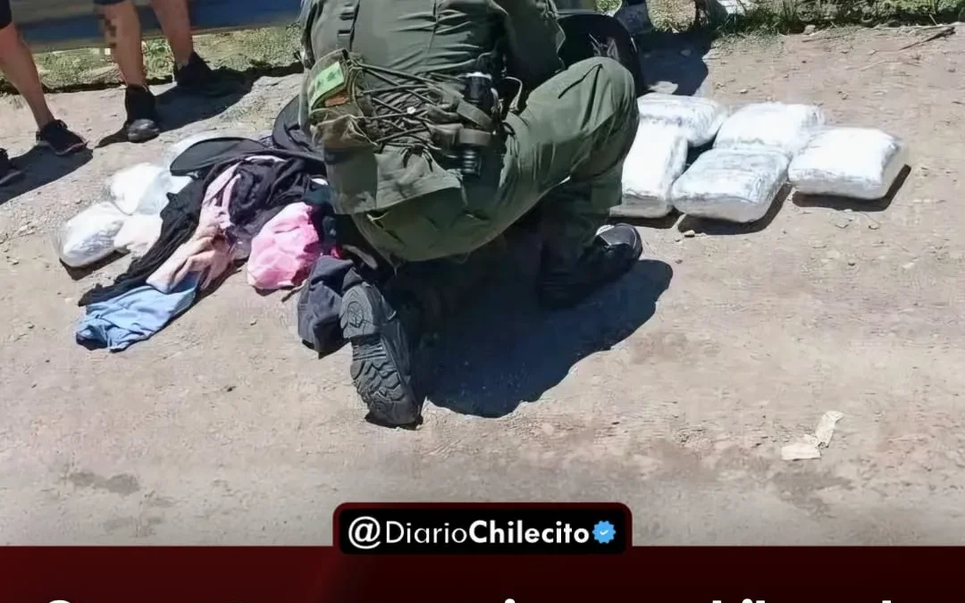 Secuestraron casi once kilos de marihuana en un control sobre la ruta 38, tras revisar un colectivo que iba de Tucumán a La Rioja