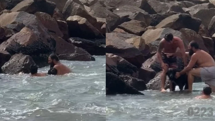 Guardavidas recataron a una perra que era arrastrada por la corriente del mar, el animal se quedó junto a quienes la salvaron