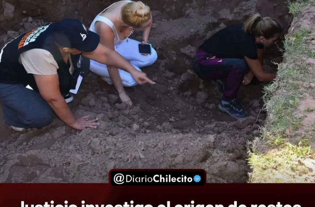 Justicia investiga el origen de restos óseos de tres personas hallados en una vivienda de la Capital, mientras se realizaban excavaciones de obra.