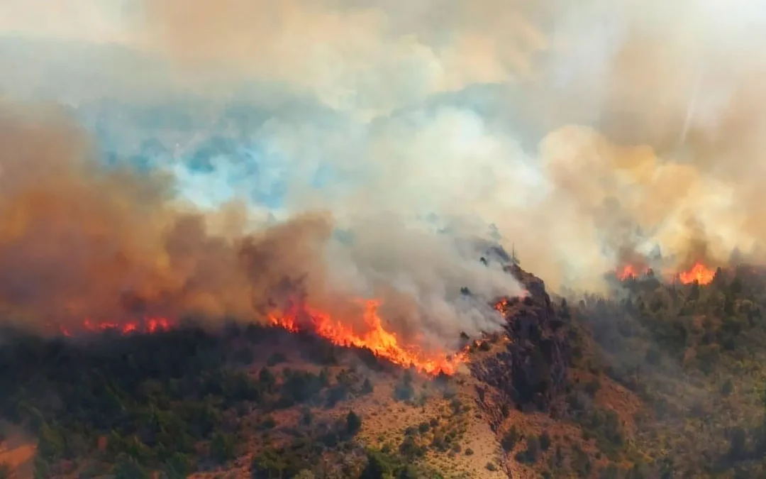 Chubut: Por las altas temperaturas y los fuertes vientos los focos de los incendios forestales se reavivaron