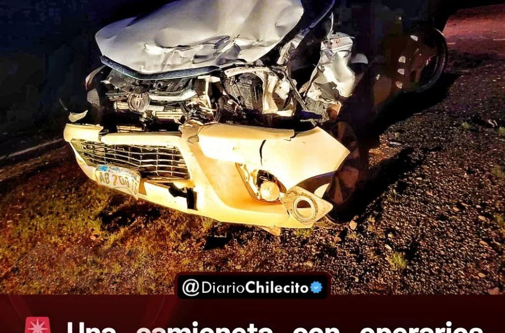 Una camioneta con operarios mineros chocó contra un vacuno en la Ruta 40 a la altura de Miranda y resultó con daños materiales.