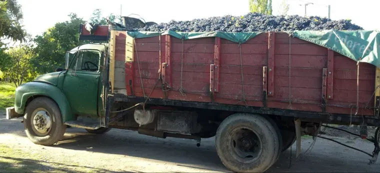 Micros, camiones y acoplados utilizados para la cosecha son controlados para prevenir accidentes