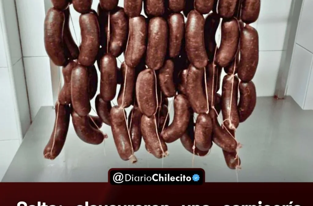 Salta: clausuraron una carnicería que vendía morcillas hechas con carne de gato y hay una mujer detenida.