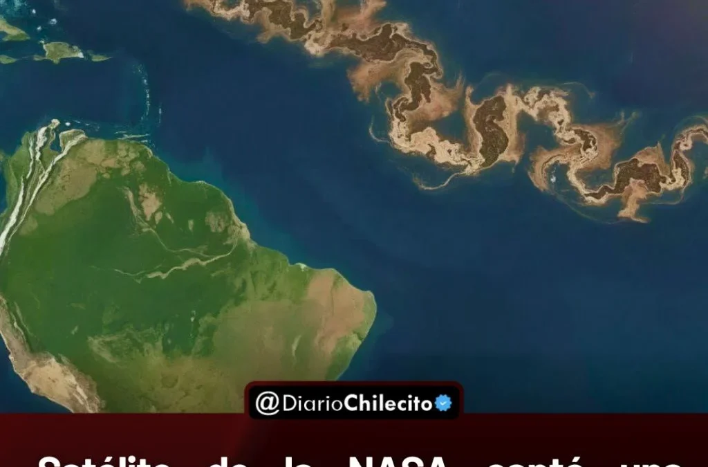 Satélite de la NASA captó una mancha en el océano de dimensiones continentales que amenaza con asfixiar las costas de todo el Caribe.