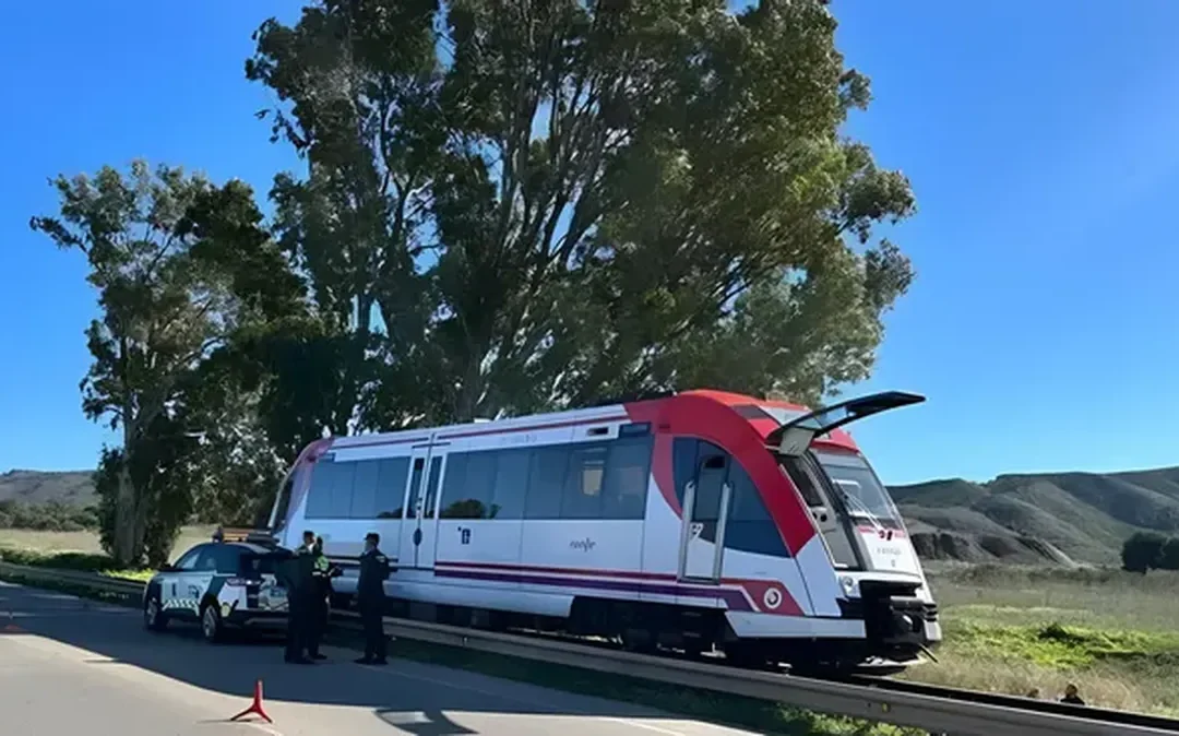 Un tren de pasajeros chocó contra una grúa de construcción al sureste de España, dejando varios heridos. Es el cuarto accidente ferroviario de la semana