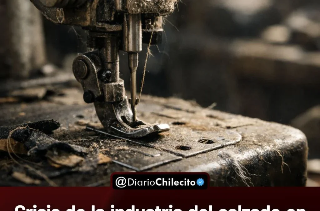 Crisis de la industria del calzado en Argentina: más de 100 fábricas cerraron y unos 10.000 empleos se perdieron en dos años.