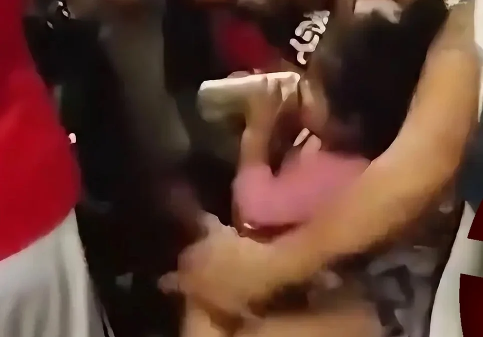 Denuncian por maltrato a una mujer que suministró alcohol a un menor durante un viaje en el Ferrocarril San Martín.