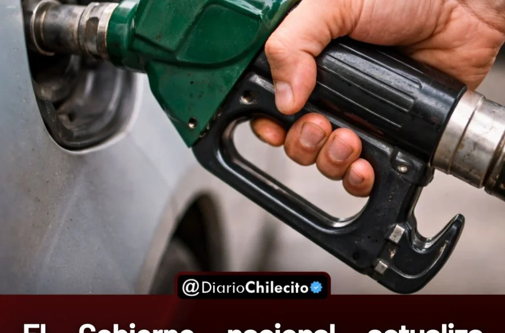 El Gobierno nacional actualiza impuestos a combustibles: El aumento impactará en nafta y gasoil en todo el país.