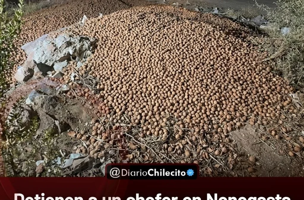 Detienen a un chofer en una planta de Nonogasta tras descubrir el desvío de dieciocho mil kilos de nuez transportados desde Guanchín.