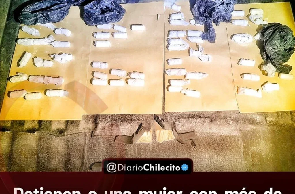 Detienen a una mujer con más de
medio kilo de cocaína durante un
operativo vehicular de rutina en el
ingreso a Vichigasta.