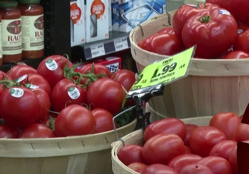 Empresas de México advierten que los aranceles de Trump erosionan el tratado de libre comercio y afectan las exportaciones.