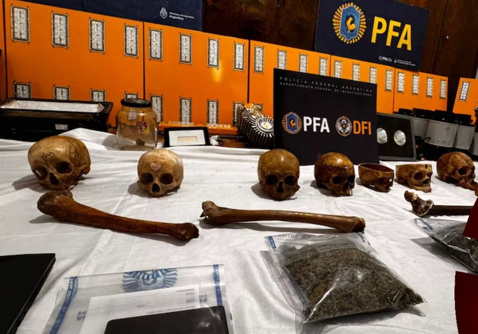Operativo en Huerta Grande, Córdoba: secuestran más de 1.800 kilos de marihuana y 10 cráneos humanos en un vivero clandestino