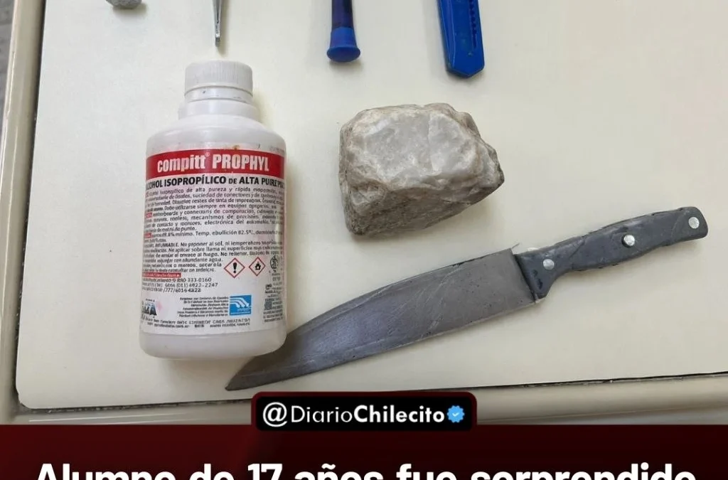 Alumno de 17 años fue sorprendido con un cuchillo de 30 cm en la Escuela 16 del barrio Sagrado Corazón y quedó bajo resguardo familiar.