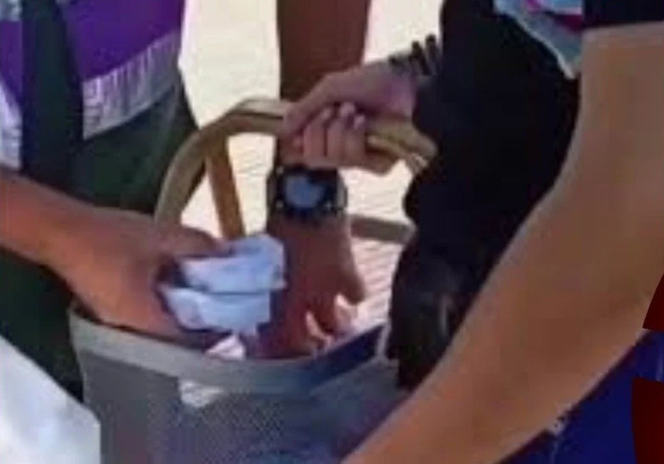 Buenos Aires: Inspectores decomisaron la mercadería de un joven que vendía alfajores caseros en la Costanera Sur.