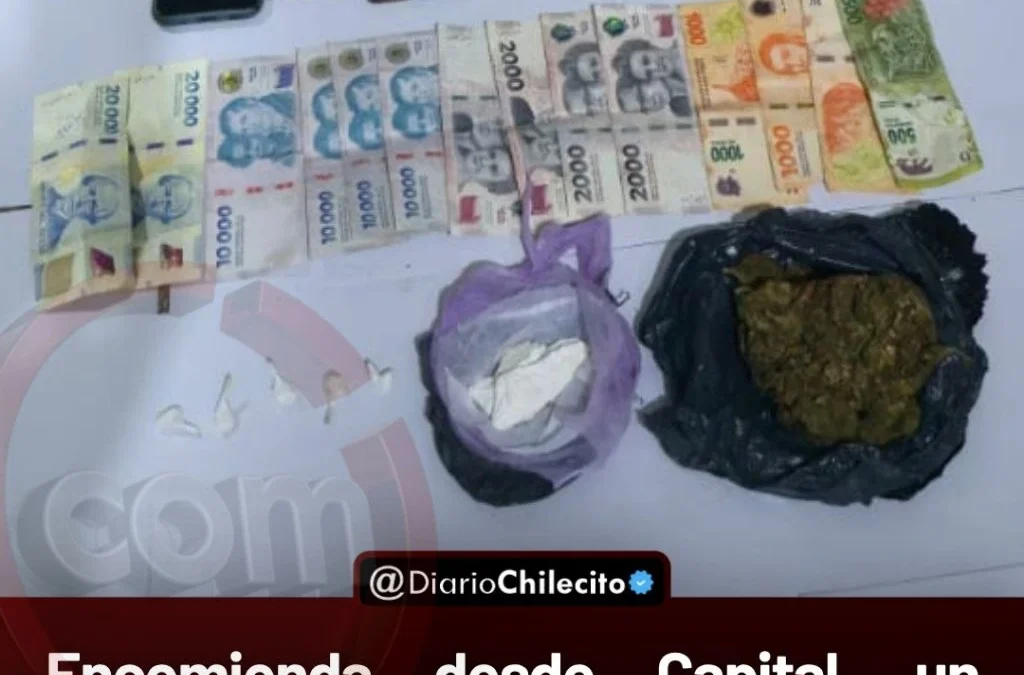 Encomienda desde Capital, un perro detector marcó un paquete y hallaron cocaína y marihuana en la terminal sobre Presidente Perón.