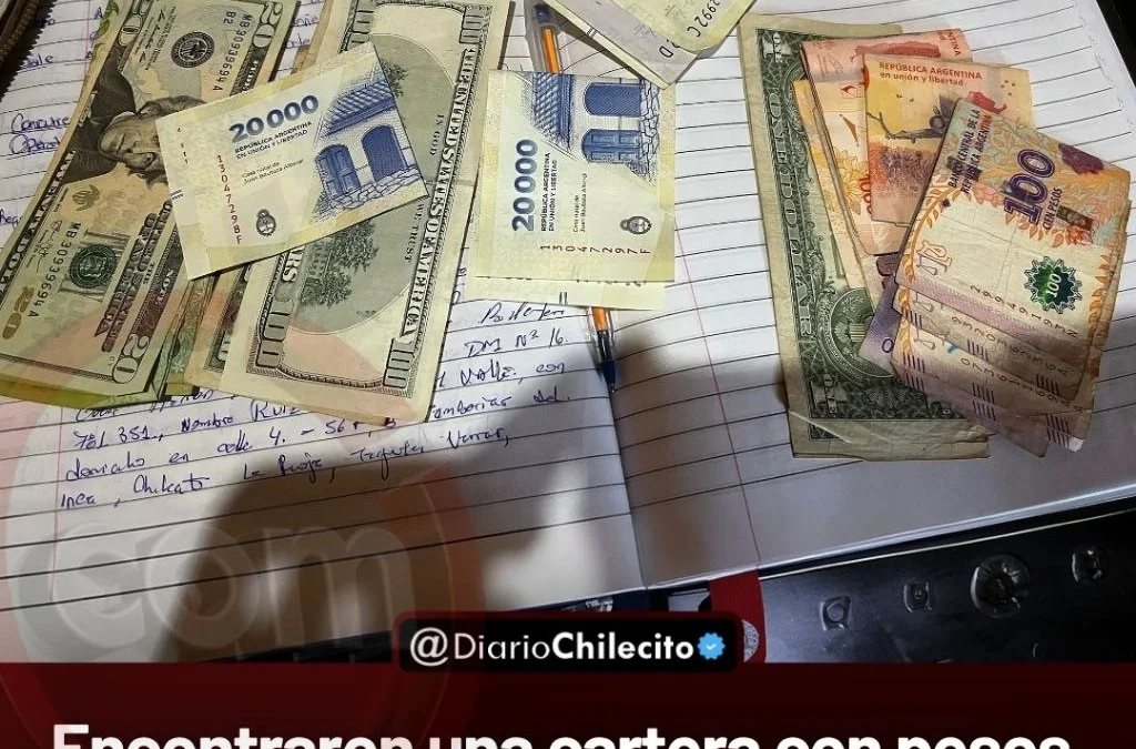 Encontraron una cartera con pesos, dólares y documentos en la plaza de Famatina y la llevaron a la comisaría para devolverla.
