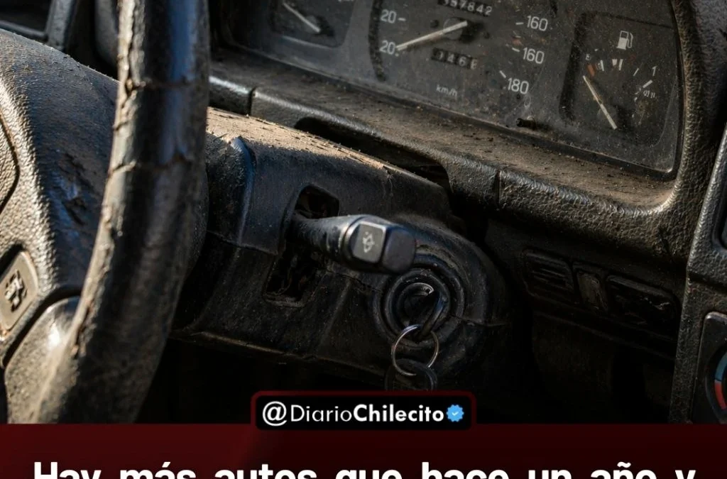 Hay más autos que hace un año y casi 3 habitantes por vehículo, pero la flota envejece y supera los 14 años de antigüedad.