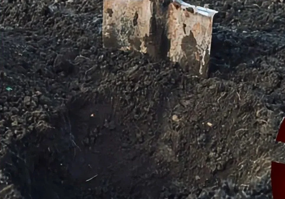 Horror en Buenos Aires: un nene de 12 años cavó en el patio y encontró a su madre enterrada.