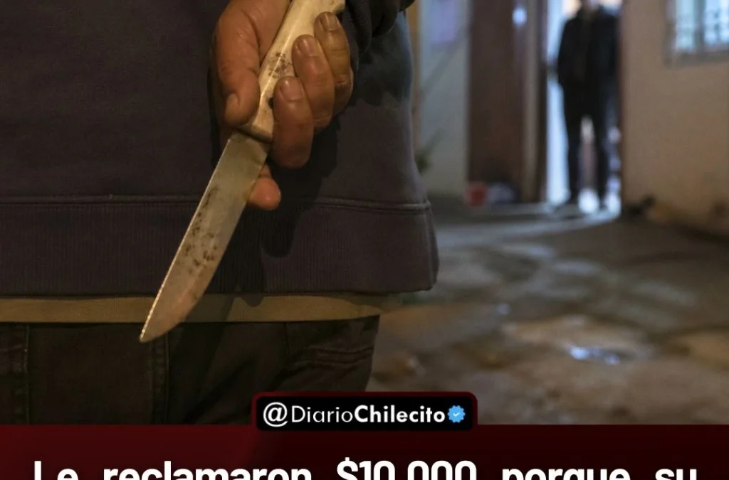 Le reclamaron $10.000 porque su gato habría
comido una carne y terminó denunciando
amenazas con cuchillo en barrio Santa Rosa.