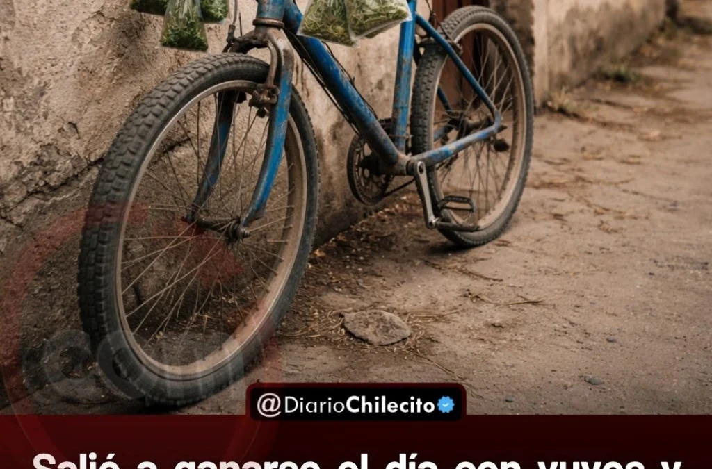 Salió a ganarse el día con yuyos y hierbas aromáticas, entró un minuto a su casa y le robaron la bicicleta en Pomán Norte.