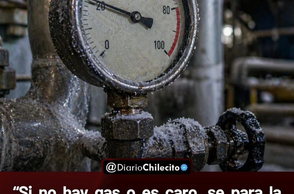 “Si no hay gas o es caro, se para la producción”: el impacto directo que anticipan industriales ante el riesgo energético del invierno.