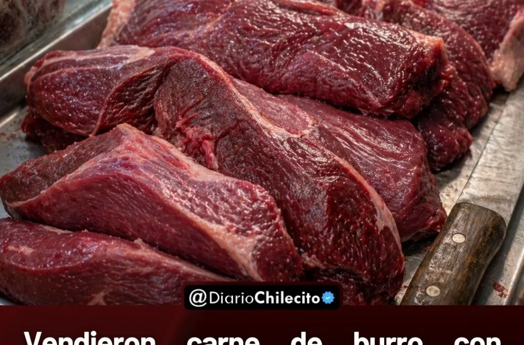 Vendieron carne de burro con permiso provisorio, agotaron 500 kilos en dos días y reabrieron el debate por el precio de la carne vacuna.