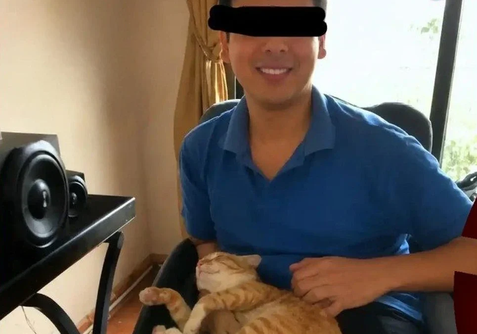 Buenos Aires: denuncian a un hombre por matar gatos que pedía en adopción: reclaman cambios en la ley de maltrato animal.
