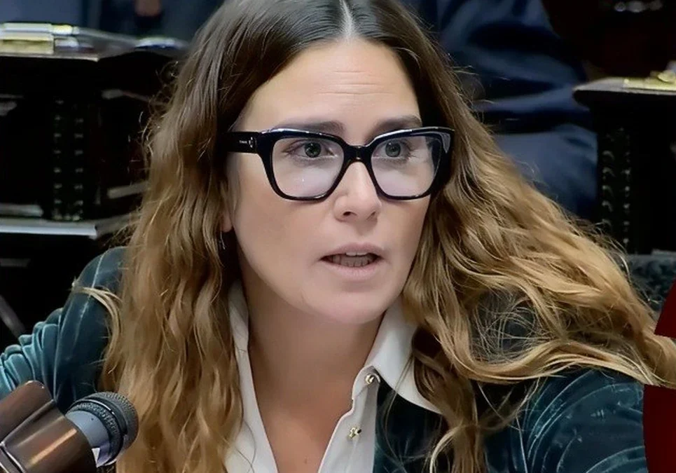 Diputada apuntó contra el Gobierno: «No terminaron el gasoducto y ahora se debe importar gas para este invierno, mientras liberan las tarifas».