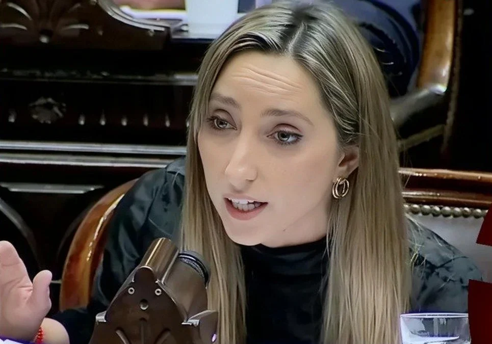 Diputada le mostró a Martín Menem cómo dos amigos del poder se quedaron con generación, transporte y distribución de energía, mientras aumentan las tarifas.